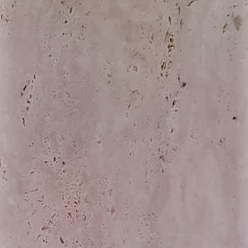 Travertino – Romano